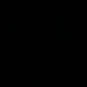 Meet your Posher, Diego